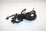 02 Arctic Cat Pantera 600 Esr Efi Oem Main Wire Harness 0686-774 SAS8