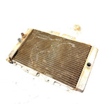 2004 Yamaha Rhino 660 OEM Radiator 5UG-E2461-00-00 XY3