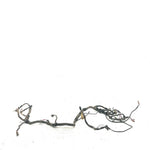 2001 Bombardier DS650 OEM Main Wire Harness 710000178 AB16