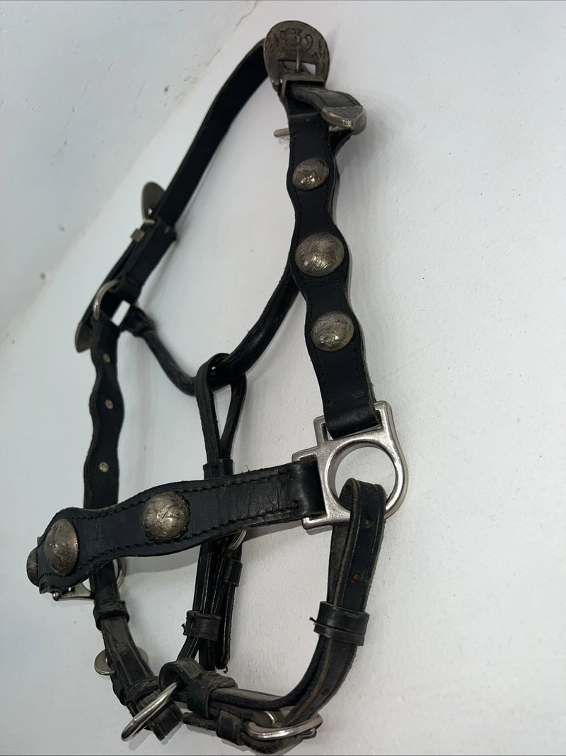 New Black Leather Full Horse Show Halter Gold accents 3C-15