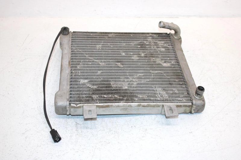 2002 Polaris Sportsman 500 Oem Radiater W/Screen 1240533 5433317 AP154