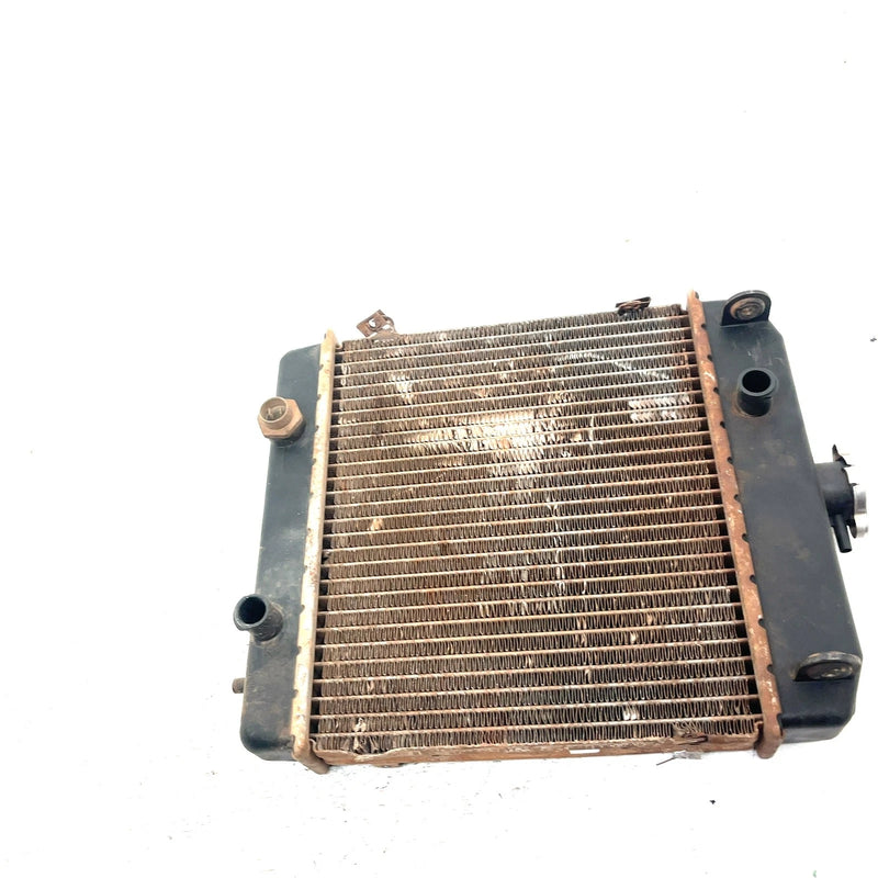 98-99 Arctic Cat 500 4X4 OEM Radiator 0413-001 AA38