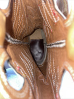 New Men’s Brown Texas Brand Cowboy Boots. 7844 11 B. 8-78