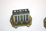 98 Arctic Cat Zr 500 Oem Reed Valve Pair 3005-124 Q2002