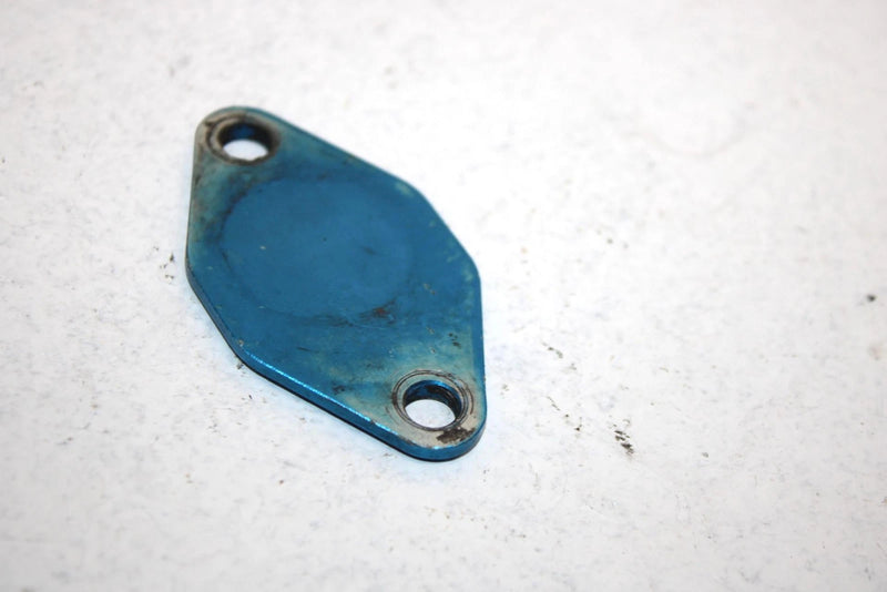 2002 Polaris Virage Oem Oil Pump Block Off Plate 2540049 JP32