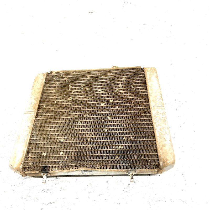 2004 Polaris Sportsman 500 OEM Radiator 1240522 AP176
