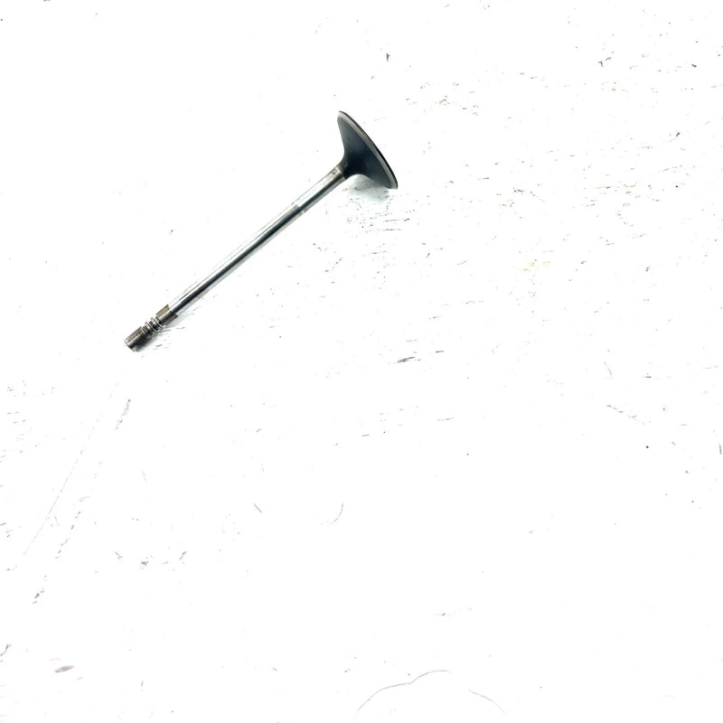 03-04 Polaris Sportsman 600 OEM Intake Valve 5131417 AP234