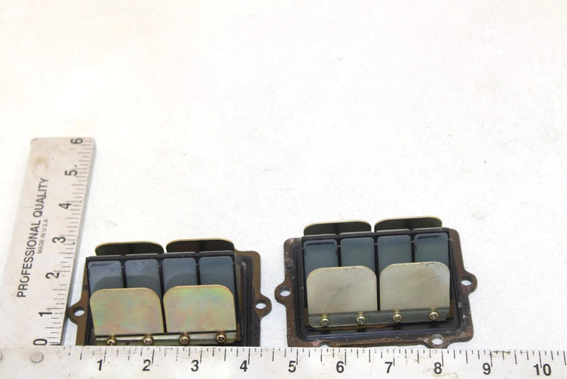 Polaris Oem Intake Reed Valve (Pair) 1201825 Q1174