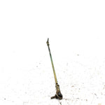 03-04 Polaris Sportsman 400 4X4 OEM Short Shift Linkage 1821428 AP225