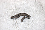 1985 Honda Atc110 A Oem Cam Timing Chain 14401-943-013 Q3473