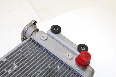 Yamaha Oem Engine Radiator 8GL-12461-00-00 B371