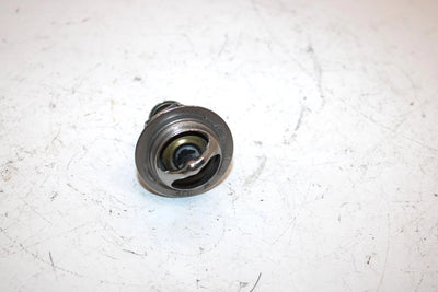 03 Arctic Cat Firecat 500 Oem Thermostat 3007-041SA269