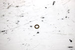 2001 Ski-doo Mxz 800 Oem Main Jet Washer Seal 404161862 SS19
