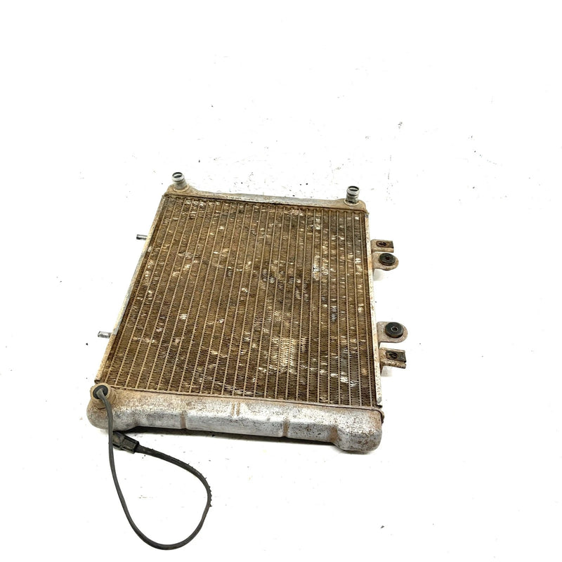 02-04 Polaris Sportsman 700 OEM Radiator 1240534 AP197