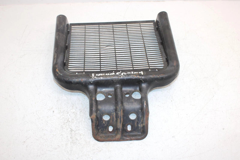 2002 Polaris Sportsman 500 Oem Front Brush Guard 5244731-067; 1013772-067 AP154