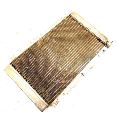 2004 Yamaha Rhino 660 OEM Radiator 5UG-E2461-00-00 XY3