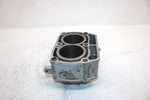2002 Polaris Sportsman 700 Oem 80mm Bore Cylinder 2202158 AP184