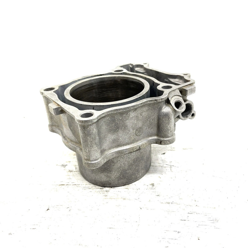10-14 Polaris Sportsman 550 OEM 96.5mm Cylinder Assy 3090202 AP238