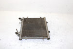 2002 Arctic Cat 375 Automatic (4x4 Green) Oem Radiator 0413-053 AA29