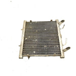 2003 Arctic Cat 400 4x4 Automatic OEM Radiator 0413-053 AA35