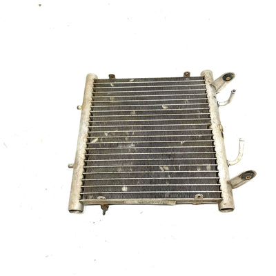 2003 Arctic Cat 400 4x4 Automatic OEM Radiator 0413-053 AA35
