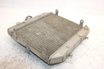 2002 Honda Foreman Rubicon Oem Radiator 19010-HN2-505 AH36