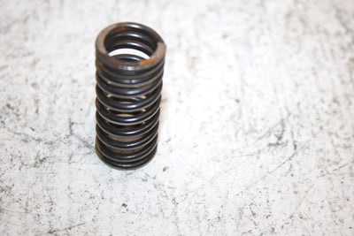 2006 Polaris Predator 500 Oem Inner/OuterValve Spring (Set) 3087984 3087983 AP63
