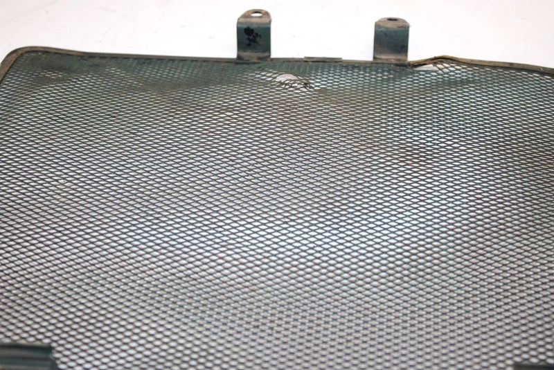 99 Kawasaki Prairie 400 4x4 Oem Radiator Screen 14037-1221 AK16