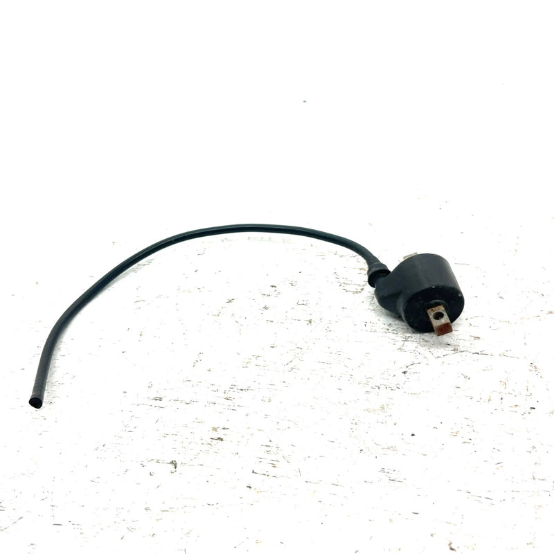90-06 Polaris Trail Blazer 250 OEM Ignition Coil 3083923 AP224