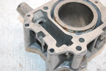 03 Bombardier Rally 175 Oem Cylinder 420613346 AB7