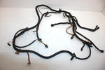 2000 Polaris Xpedition 425 Oem Main Wire Harness 2460696 2460864 AP147