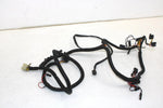 02 Polaris Rmk 600 Oem Main Engine Wiring Harness  2460932 SP198
