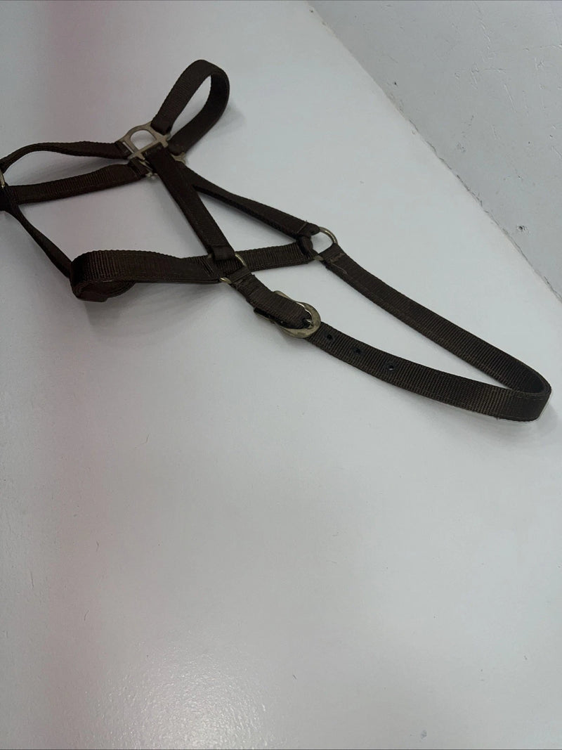 New Brown Nylon Full Horse Halter Gold Buckles NN-600