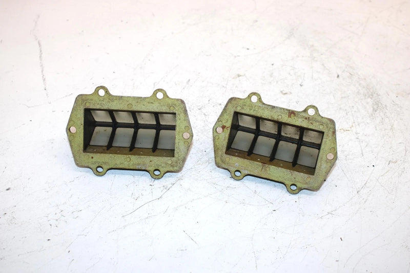 01 Arctic Cat Mountain Cat 800 Oem Reed Valve Pair 3005-876 SAS9