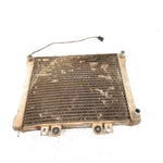 02-04 Polaris Sportsman 700 OEM Radiator 1240534 AP219
