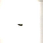 1996 Polaris Sportsman 500 OEM Carb Drain Screw 3130521 AP187