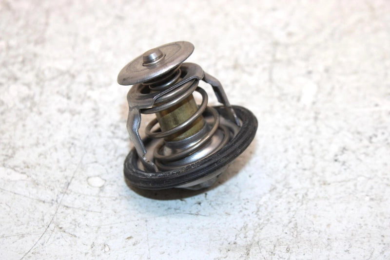 2007 Honda Fortrax 680 Oem Thermostat 19300-HN8-003 19300-HN8-305 AH46