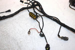 2007 Arctic Cat Atv 650 H1 Oem Main Wire Harness 0486-213 AA25