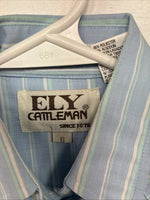 New Miss ELY Cattleman Blue Stripe Long Sleeve Pearl Snap Size 6 DD-145