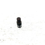 02-03 Kawasaki Prairie 650 4x4 OEM Left Swingarm Pivot Bolt  33032-1197 AK37