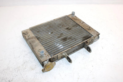 2003 Can-am Rally 200 Oem Coolant Radiator 709200090 AB11