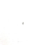 99-00 Ski-Doo MXZ 700 OEM Carb Float Pin 404160800 Q3609