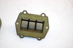 98 Arctic Cat Zr 500 Oem Reed Valve Pair 3005-124 Q2002