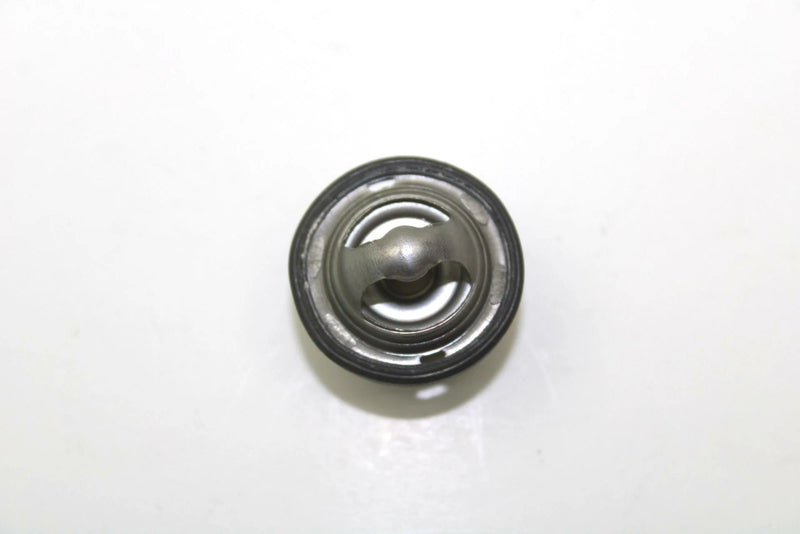 Polaris OEM Thermostat 3084940 Q89