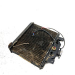 1993 Polaris Trail Boss 350L 4X4 OEM Radiator 1240006 AP194