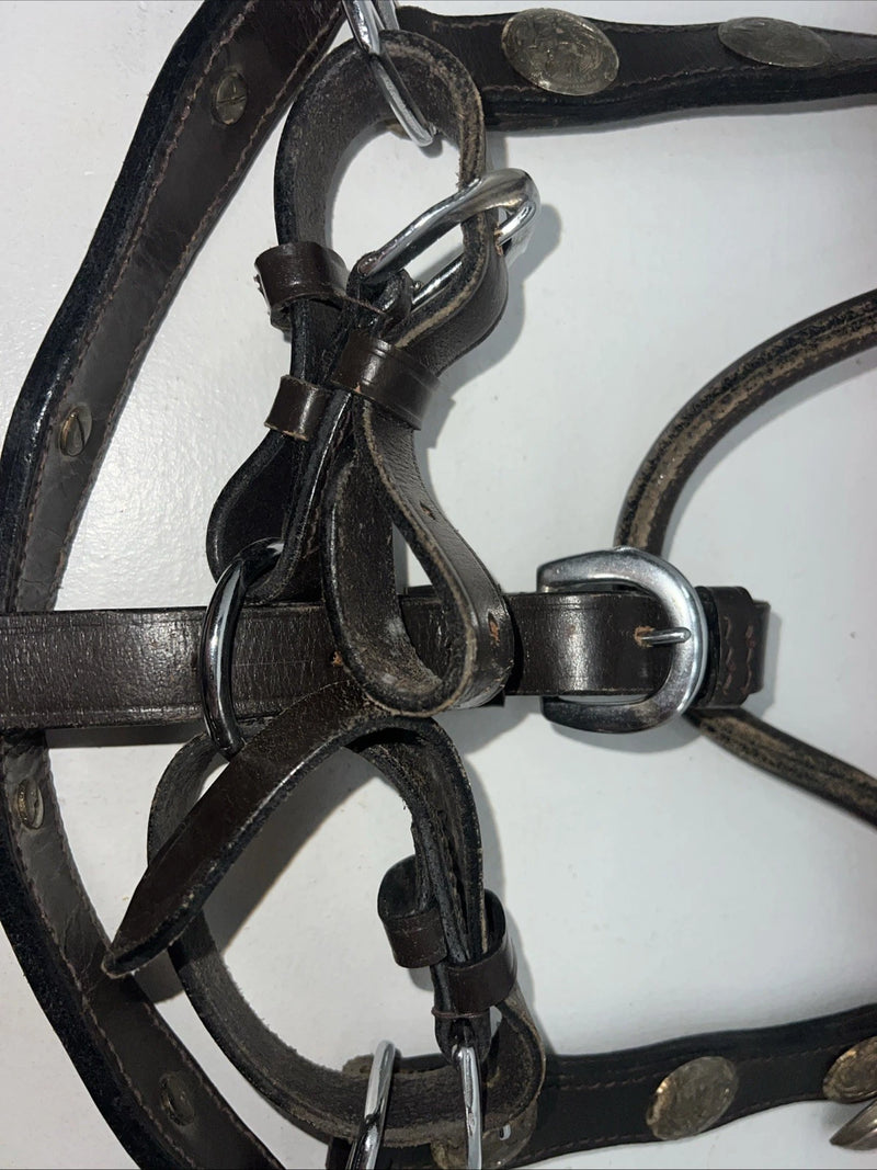 New Brown Leather Full Horse Show Halter Silver Buckles 3C-16