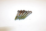 Polaris  OEM Primary Clutch Cover Bolt Set  With Washers 7512265 AP110