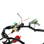 2004 Polaris Sportsman 90 OEM Main Wire Harness 0451694 AP209
