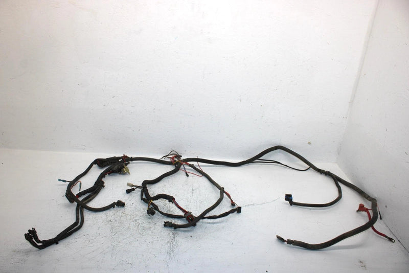 2002 Polaris Sportsman 700 Oem Main Harness 2460936 AP184