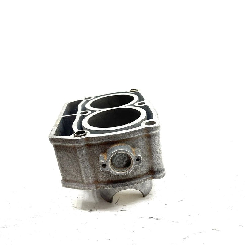 02-04 Polaris Sportsman 700 OEM 80mm Bore Cylinder 2202158 AP143